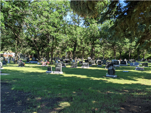 Cemetery 6